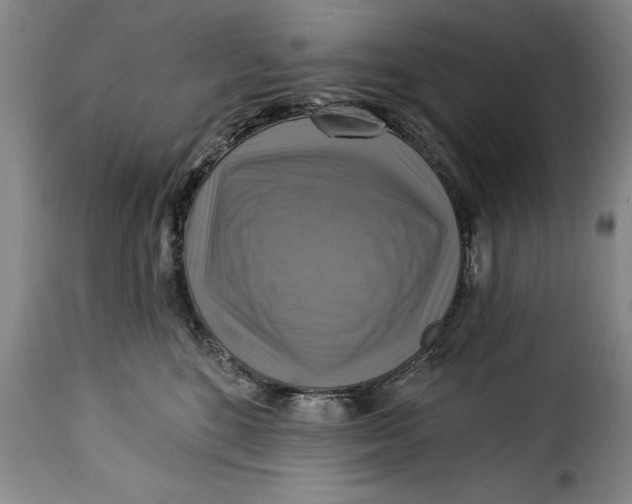 X0000115360520200911241220