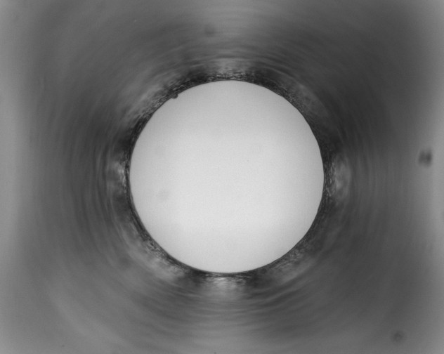 X0000115360522200911241220