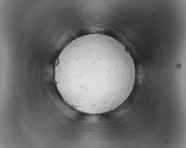 X0000115360523200911241220