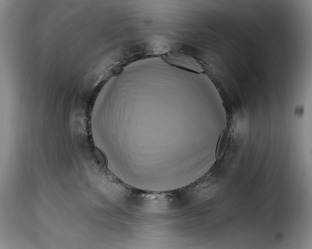 X0000115360524200911241220