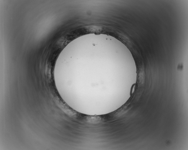 X0000115360525200911241219
