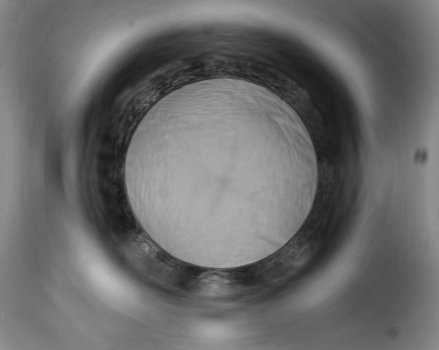 X0000115360526200911241219