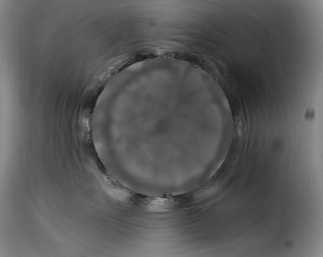 X0000115360527200911241219