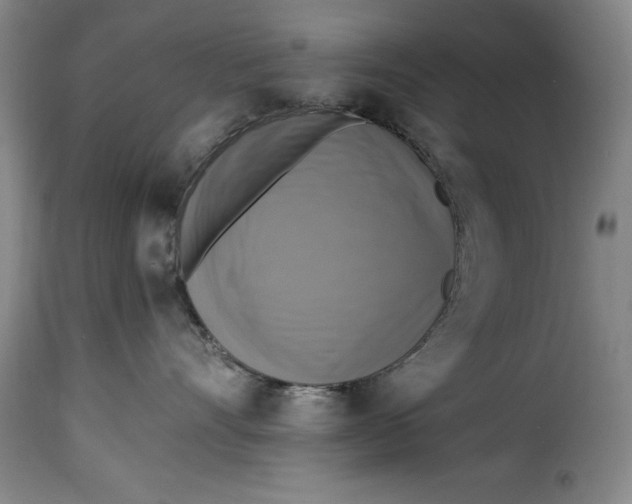 X0000115360528200911241219