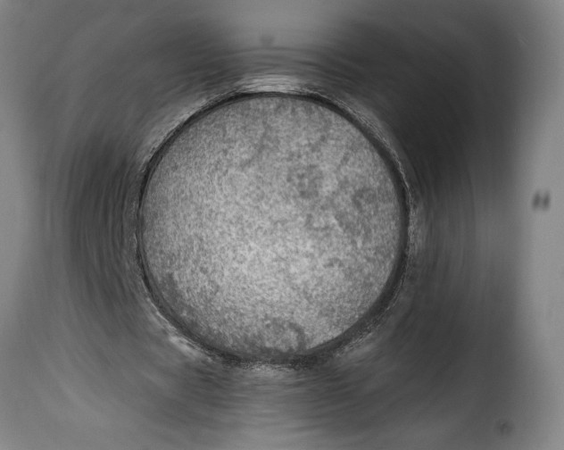 X0000115360529200911241219
