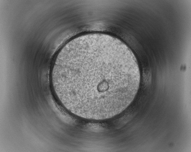 X0000115360534200911241219