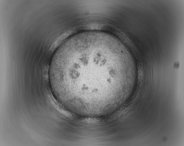 X0000115360537200911241219