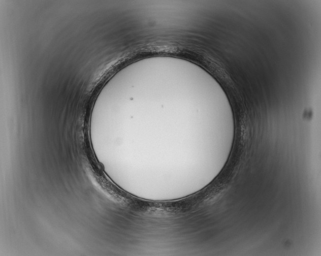 X0000115360538200911241219