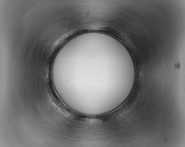 X0000115360539200911241219