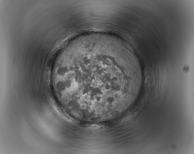 X0000115360542200911241219