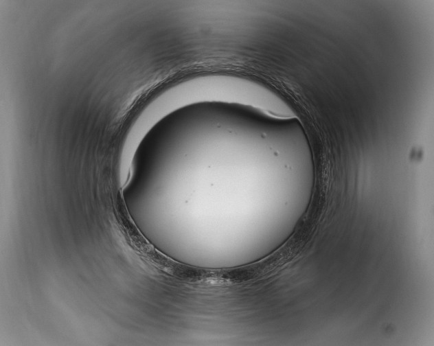 X0000115360543200911241219