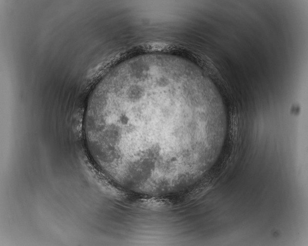 X0000115360545200911241219