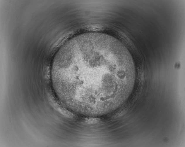 X0000115360549200911241219