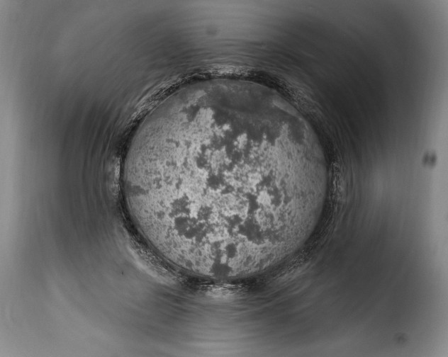 X0000115360550200911241219