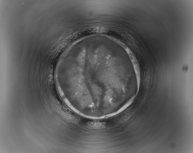 X0000115360553200911241219