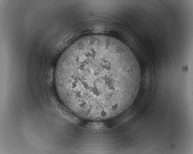 X0000115360554200911241219