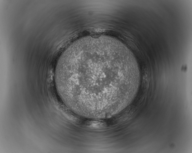 X0000115360555200911241219