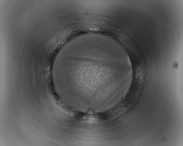 X0000115360559200911241219