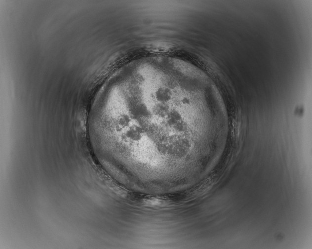 X0000115360561200911241219