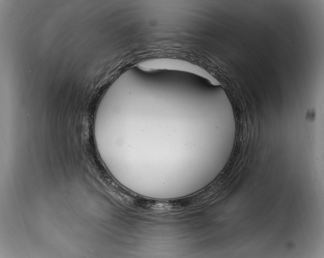 X0000115360562200911241219