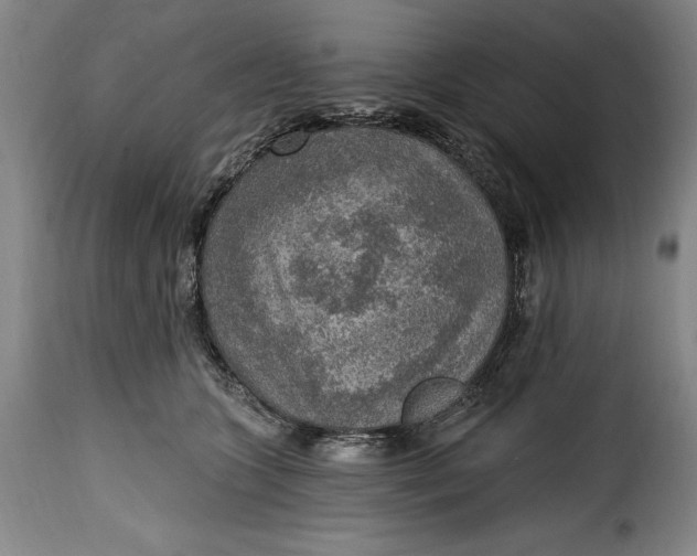 X0000115360563200911241219