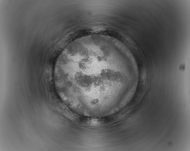 X0000115360565200911241219