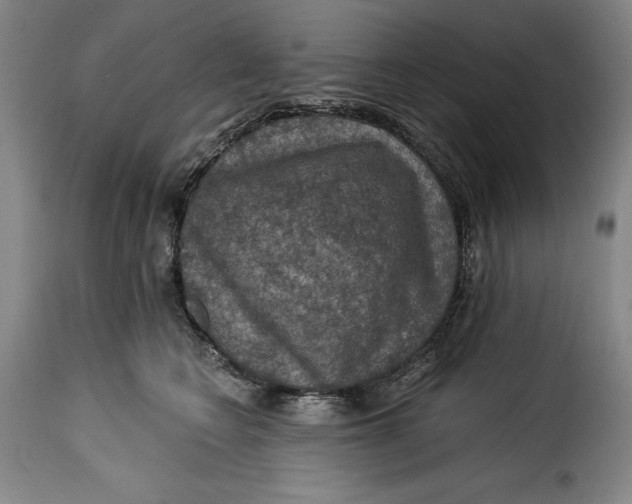 X0000115360566200911241219