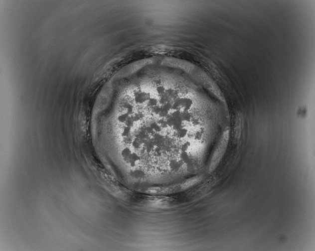 X0000115360569200911241219