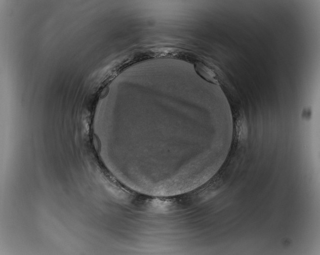 X0000115360570200911241219