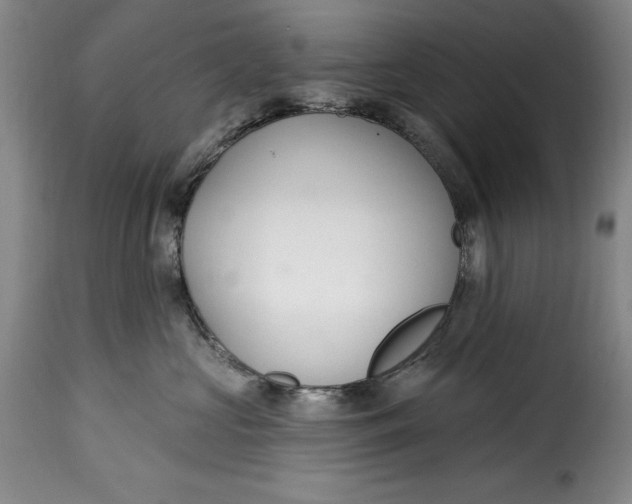 X0000115360573200911241219