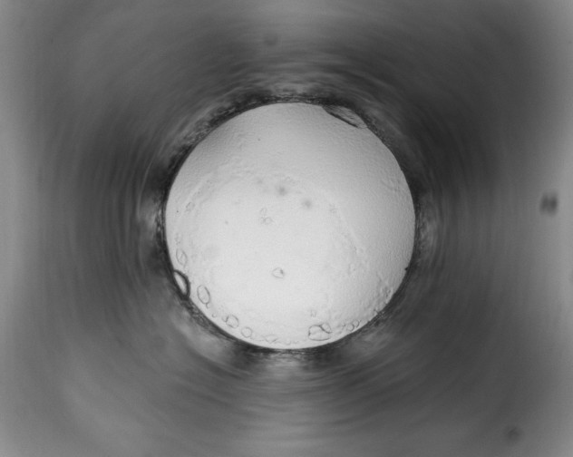 X0000115360574200911241219