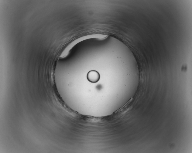 X0000115360575200911241219