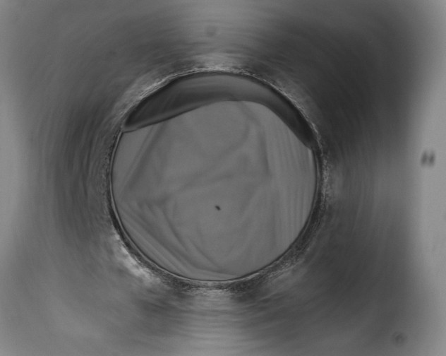 X0000115360577200911241219