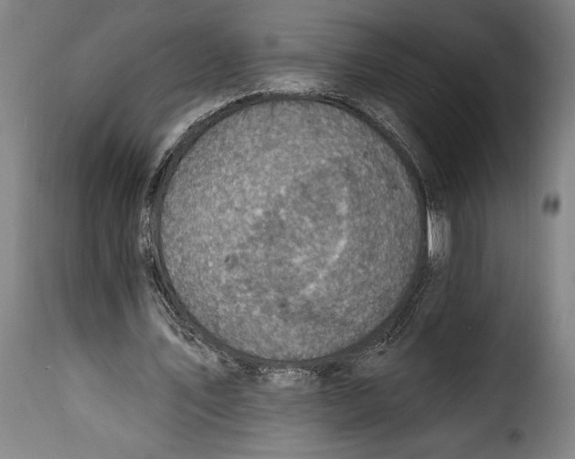 X0000115360579200911241219