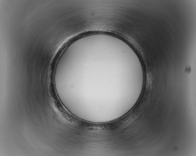 X0000115360580200911241219