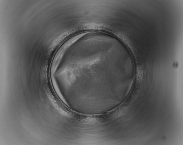 X0000115360581200911241219