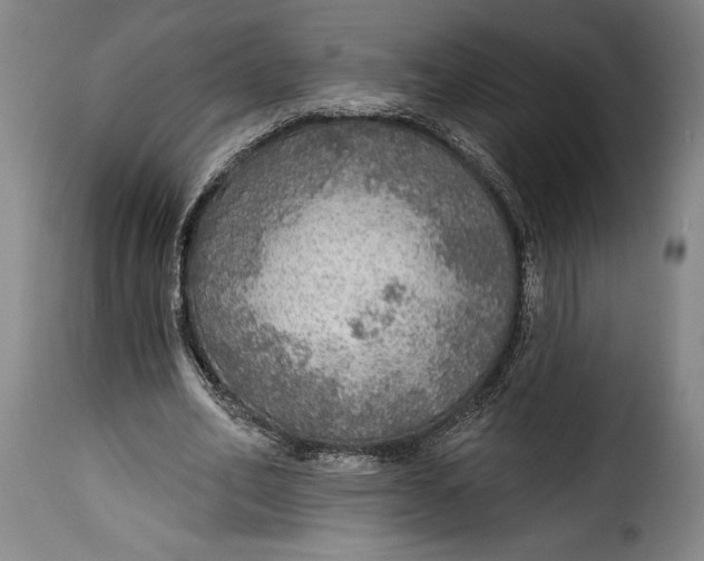 X0000115360582200911241219
