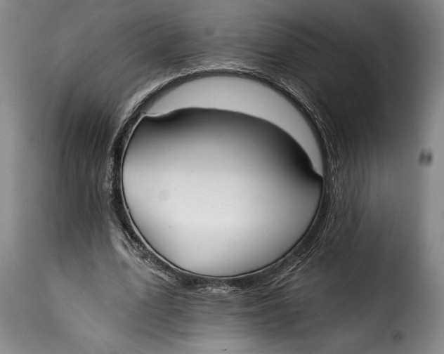 X0000115360583200911241219