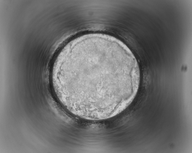 X0000115360584200911241219