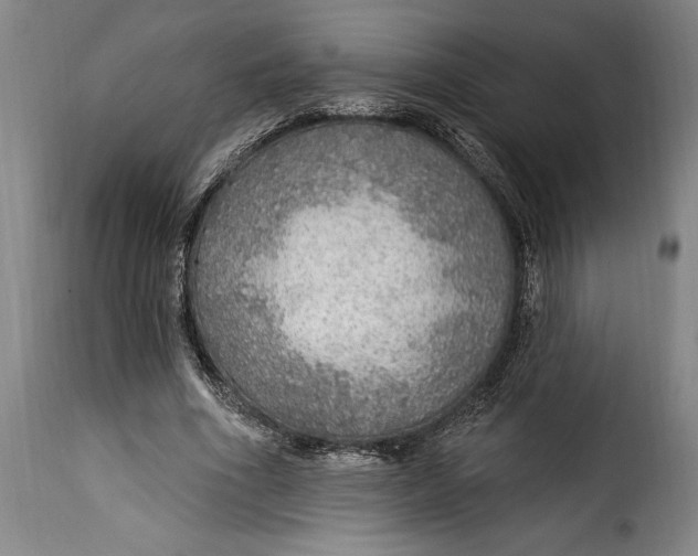 X0000115360586200911241219
