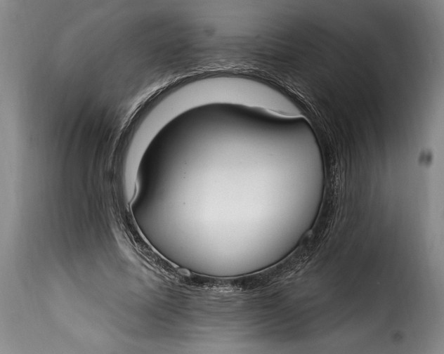 X0000115360587200911241219
