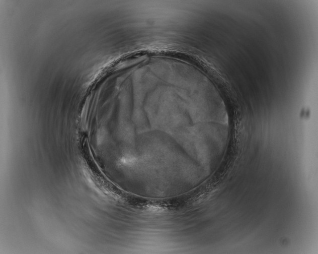X0000115360592200911241219