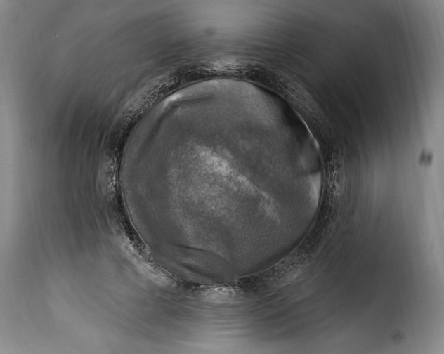 X0000115360593200911241219