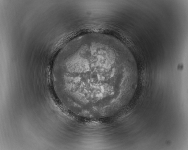 X0000115360594200911241219