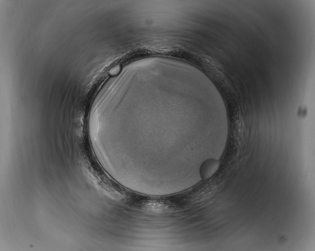 X0000115360596200911241219