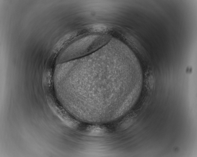 X0000115360597200911241218