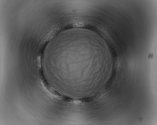 X0000115360598200911241218