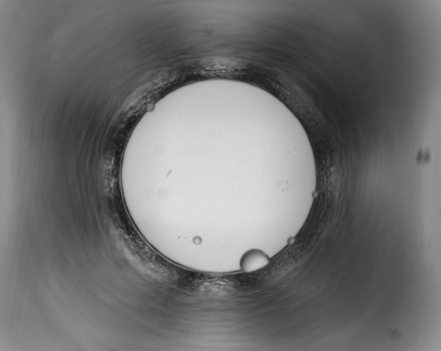 X0000115360599200911241218
