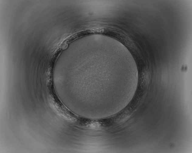 X0000115360600200911241218
