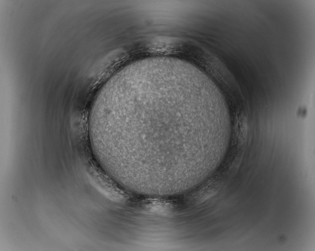 X0000115360601200911241218